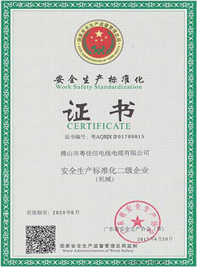 安全生產標準化二級企業(yè)證書