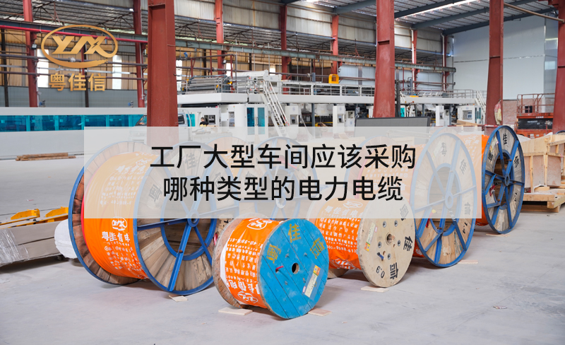 工廠大型車間應(yīng)該采購(gòu)哪種類型的電力電纜